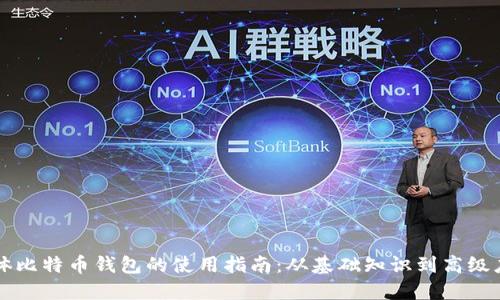 实体比特币钱包的使用指南：从基础知识到高级应用