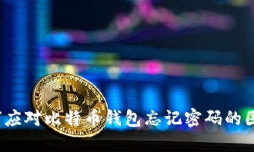 如何应对比特币钱包忘记密码的困境？