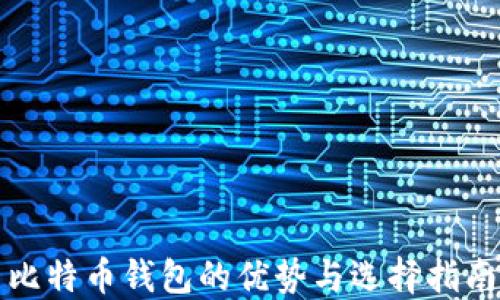 
比特币钱包的优势与选择指南
