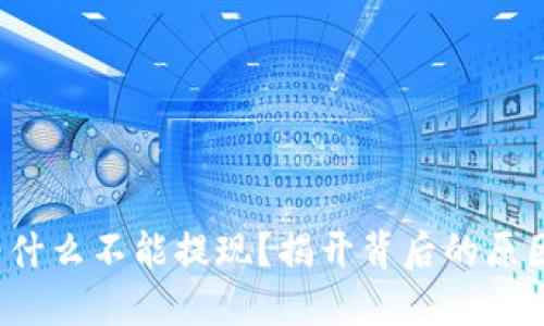 Web3钱包为什么不能提现？揭开背后的原因与解决方案
