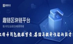 比特币钱包数据剪裁：存