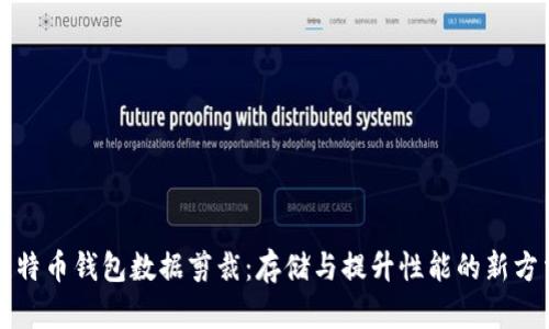 比特币钱包数据剪裁：存储与提升性能的新方法
