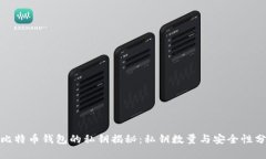 : 比特币钱包的私钥揭秘：