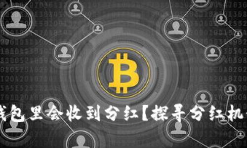 为什么在TP钱包里会收到分红？探寻分红机制与收益分析