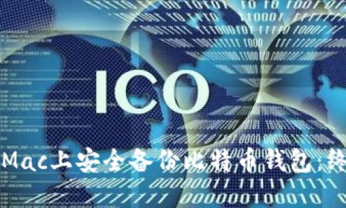 如何在Mac上安全备份比特币钱包：终极指南