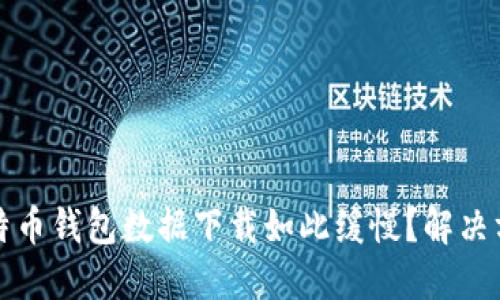 为什么比特币钱包数据下载如此缓慢？解决方法与建议