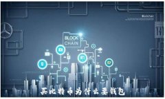  买比特币为什么要钱包