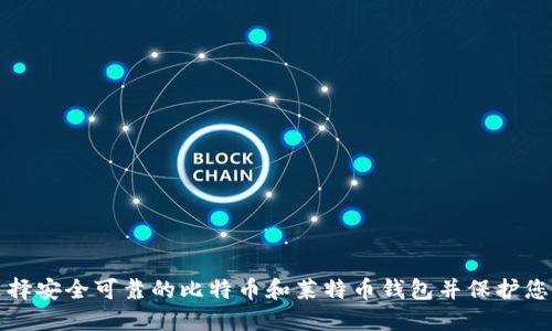 如何选择安全可靠的比特币和莱特币钱包并保护您的资产