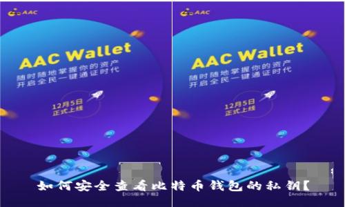 如何安全查看比特币钱包的私钥？