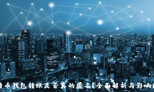  
比特币钱包转账是否真的匿名？全面解析与影响因素