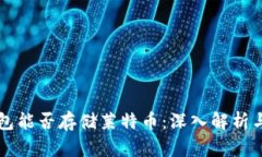 比特币钱包能否存储莱特
