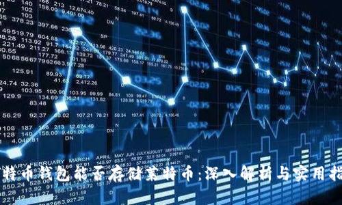 比特币钱包能否存储莱特币：深入解析与实用指南
