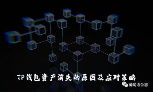 TP钱包资产消失的原因及应对策略