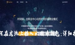 如何在龙池上接入比特币
