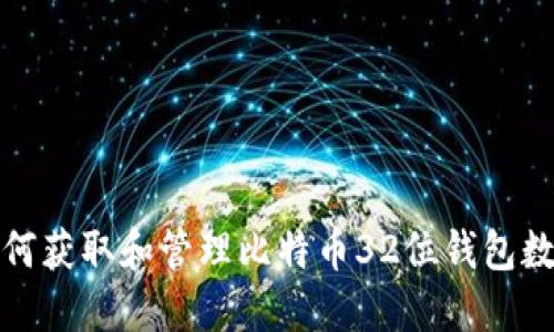 如何获取和管理比特币32位钱包数据