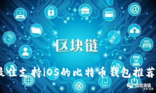 全面评测：最佳支持iOS的比特币钱包推荐及使用指南