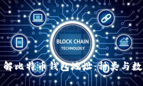 深入了解比特币钱包地址：种类与数量解析