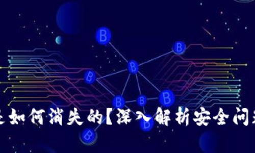 TP钱包的币是如何消失的？深入解析安全问题与风险防范