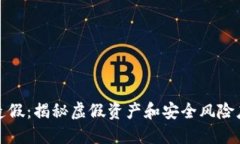 TP钱包造假：揭秘虚假资产