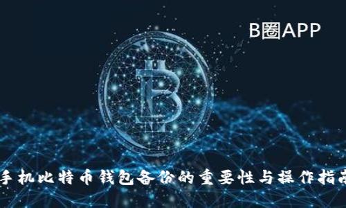 手机比特币钱包备份的重要性与操作指南