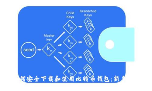 如何安全下载和使用比特币钱包：新手指南