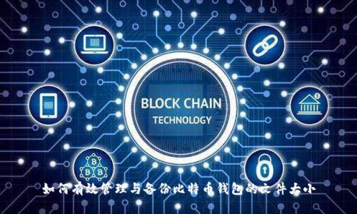 如何有效管理与备份比特币钱包的文件大小