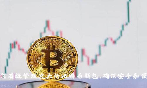 如何有效管理庞大的比特币钱包，确保安全和便捷