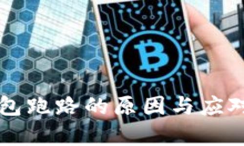 比特币钱包跑路的原因与应对策略分析