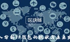   深入分析TP钱包的现状与