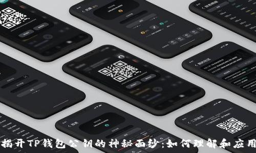   
揭开TP钱包公钥的神秘面纱：如何理解和应用