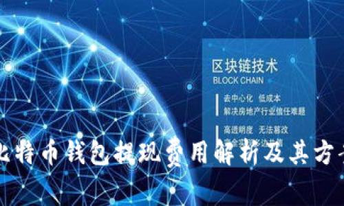 比特币钱包提现费用解析及其方案