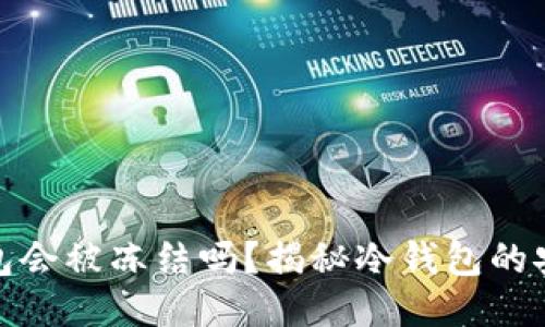比特币冷钱包会被冻结吗？揭秘冷钱包的安全性与风险