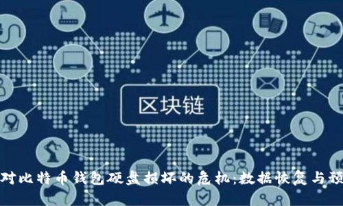 如何应对比特币钱包硬盘损坏的危机：数据恢复与预防策略
