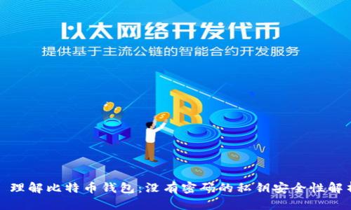 : 理解比特币钱包：没有密码的私钥安全性解析