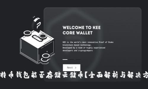 比特币钱包能否存储云储币？全面解析与解决方案