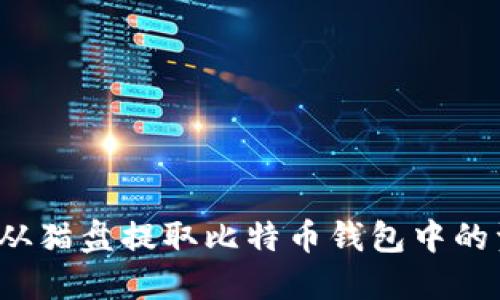 如何从猫盘提取比特币钱包中的资金？