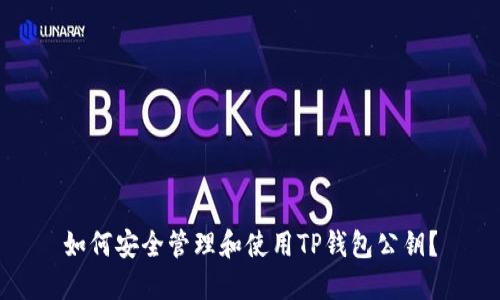 如何安全管理和使用TP钱包公钥？