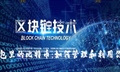 分叉后在钱包里的比特币：如何管理和利用你的数字资产