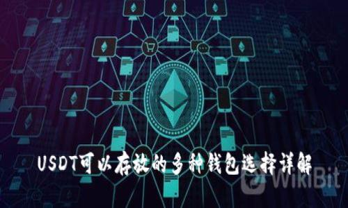 USDT可以存放的多种钱包选择详解