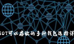 USDT可以存放的多种钱包选