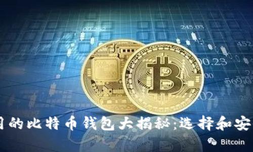 李晨使用的比特币钱包大揭秘：选择和安全性分析