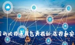 李晨使用的比特币钱包大