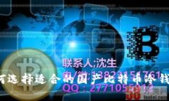 如何选择适合的国产比特