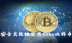 如何安全高效地使用Cobo比