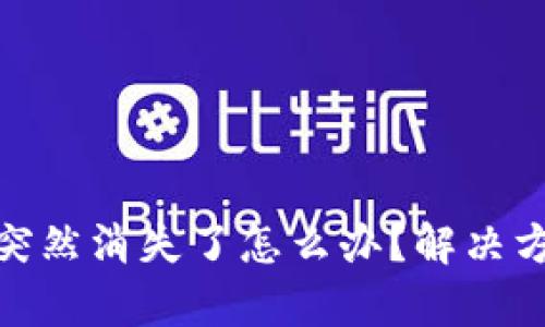 tp钱包里的币突然消失了怎么办？解决方法与预防措施
