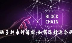 TP钱包中的多种币种解析：