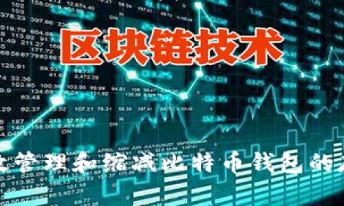 如何有效管理和缩减比特币钱包的存储空间