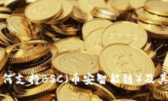 TP钱包如何支持BSC（币安智