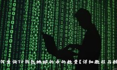 如何查询TP钱包地址的币的