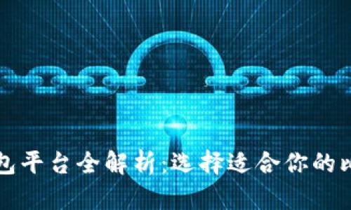 比特币钱包平台全解析：选择适合你的比特币钱包